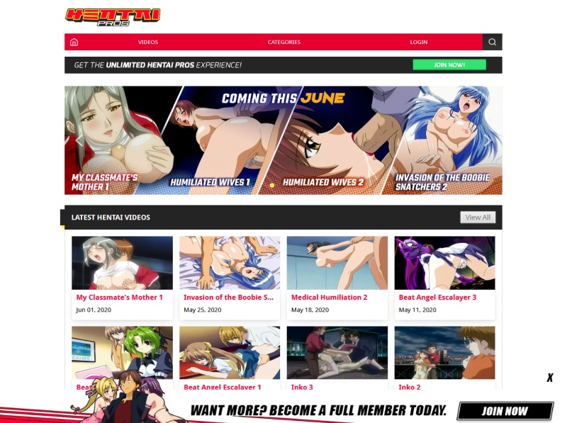Hentai Pros